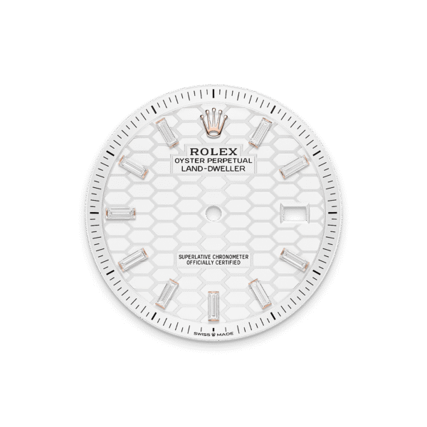 Rolex Land-Dweller 40mm Oyster Everose Gold & Diamonds M127385TBR-0003