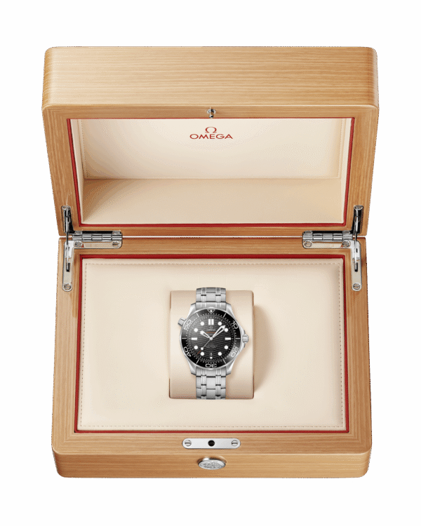 Omega Seamaster DIVER 300M CO‑AXIAL MASTER CHRONOMETER Ref# 210.30.42.20.01.001