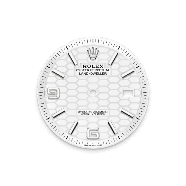 Rolex Land-Dweller 40mm Oystersteel & White Gold M127334-0001