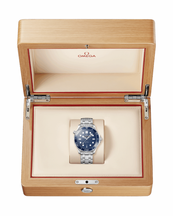 Omega Seamaster DIVER 300M CO‑AXIAL MASTER CHRONOMETER Ref# 210.30.42.20.03.001