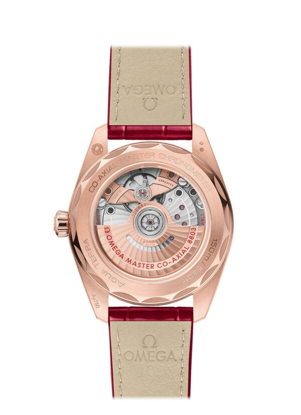 Omega Seamaster AQUA TERRA 150M CO‑AXIAL MASTER CHRONOMETER SMALL SECONDS Ref# 220.58.38.20.55.002