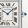 75eee0956b38950308e55b3eab9b40781c26233d Unworn Cartier Tank Must de Cartier, Large Stainless Steel, 33.7mm x 25.5mm, Ref# WSTA0052, box and papers