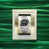 Rolex Explorer 40, Oystersteel, 40mm, Ref# 224270-0001