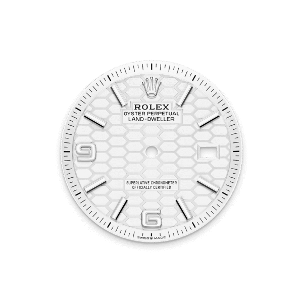 Rolex Land-Dweller 36mm Oystersteel & White Gold M127234-0001