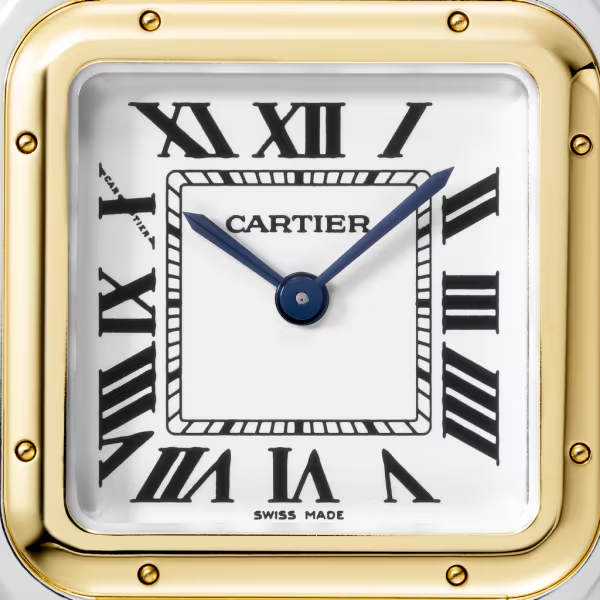 a43ea0f45f6c3fb790b1b2d470312fd2b26c0b8e Unworn Cartier Panthère de Cartier, Stainless Steel, 18k Yellow Gold, 29mm x 37mm, Ref# W2PN0007, box and papers