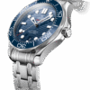 Omega Seamaster DIVER 300M CO‑AXIAL MASTER CHRONOMETER Ref# 210.30.42.20.03.001