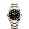 c6461c7a55d24b3938976cf655eb4e6f8da70c66 Rolex Explorer, 18k Yellow Gold and Stainless steel, 36mm, Ref# 124273-0001, 2024