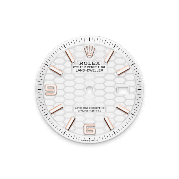 f32179782a29c7280396d8148b85652880acb49a Rolex Land-Dweller 36mm Oyster Everose Gold M127235-0001